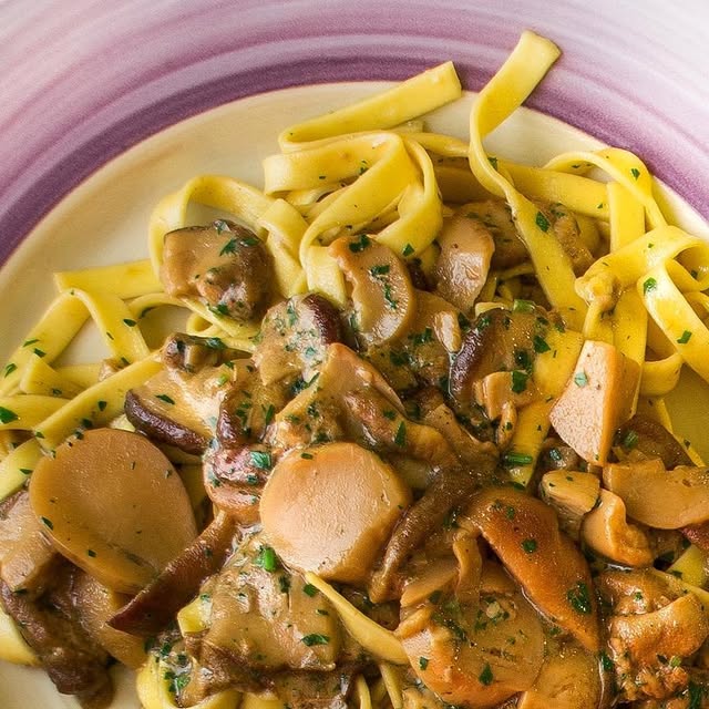 Tagliatelle ai porcini